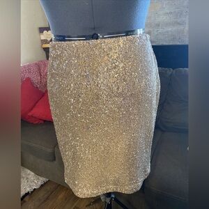 NWT sequin skirt